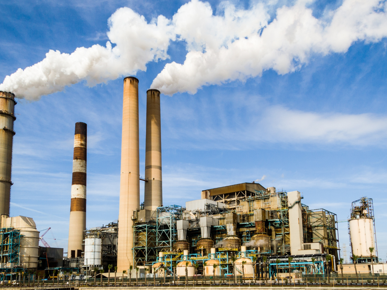 Carbon Smart India Fellowship : Making India Carbon Smart